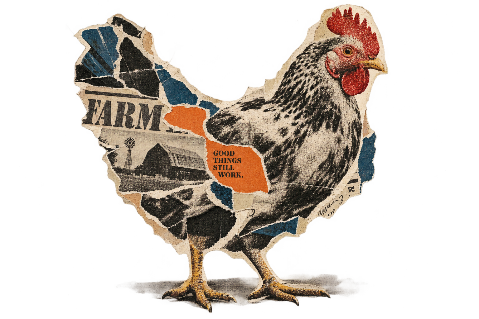 Vintage torn-paper chicken collage used as a visual wink for more than 40 years of experience